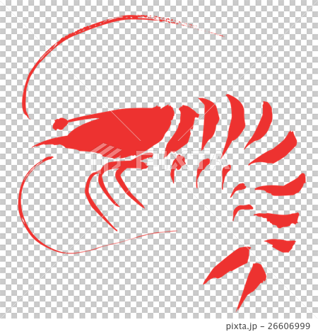 Shrimp illustration red 26606999