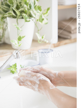 手洗い 手洗い 26607454