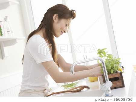 プランターからハーブを摘む女性 プランターからハーブを摘む女性 26608750
