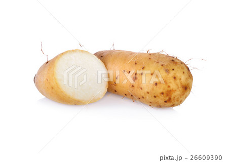 raw potato Dioscorea  burmanica or "Mon Nok" 26609390