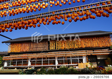 11月実　ころ柿のすだれ06甲州市松里地区 26609766