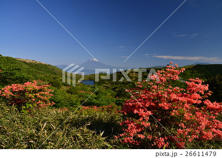 【静岡県】ヤマツツジ咲く箱根玄岳から富士山の眺め 【静岡県】ヤマツツジ咲く箱根玄岳から富士山の眺め 26611479