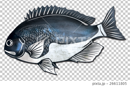 魚イラストのイラスト素材