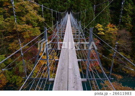 【静岡県】井川湖の夢の吊り橋 26611983