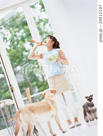 料理シーン 26612197