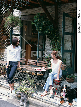 カフェ カフェ 26612338