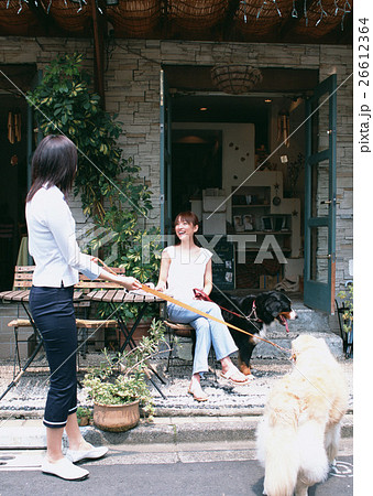 カフェ カフェ 26612364