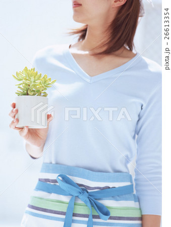 女性 26613354