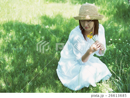 草原の女性 草原の女性 26613685