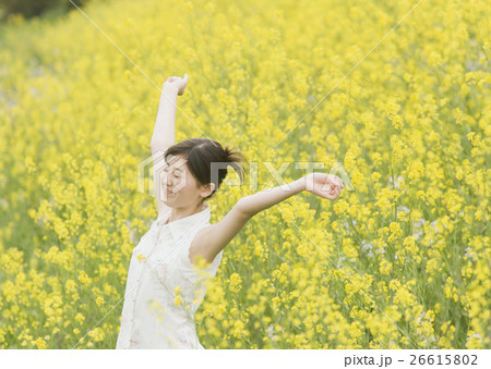 菜の花畑に立つ女の子 26615802