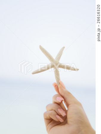 ヒトデ ヒトデ 26616320