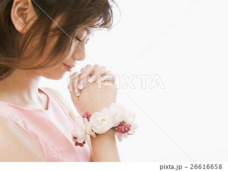 新婦 新婦 26616658