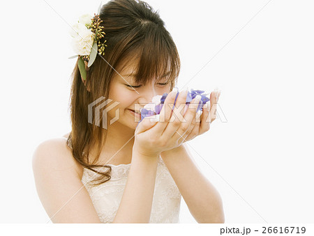 新婦 新婦 26616719