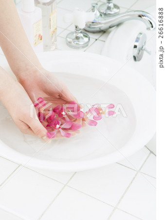 花びらを掬う手 26616888