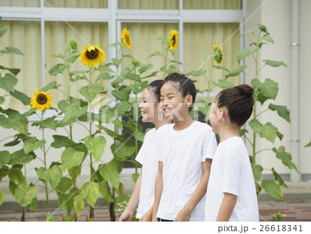 笑顔の小学生 26618341