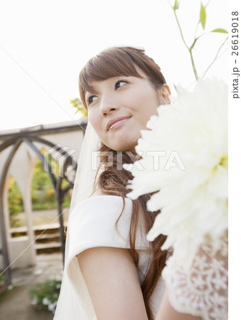 新婦 26619018