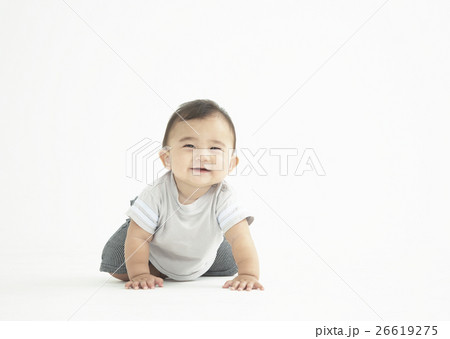 ハイハイをする赤ちゃん 26619275
