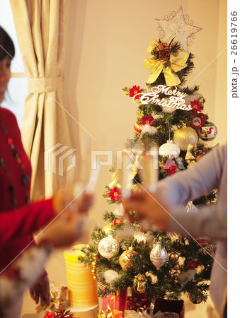 クリスマスツリーと乾杯 26619766