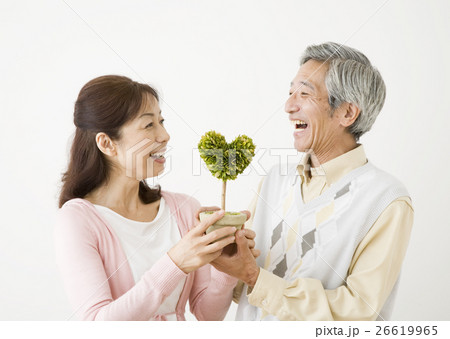鉢植えを持つシニア夫婦 26619965