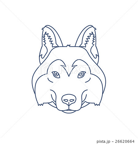 Husky or wolf head icon 26620664