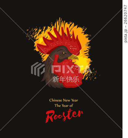 Vector illustration of the red rooster 26620747