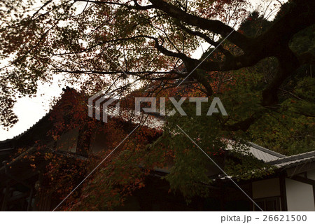 球磨川周辺の紅葉 球磨川周辺の紅葉 26621500