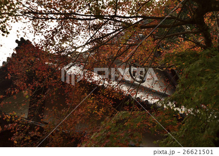 球磨川周辺の紅葉 球磨川周辺の紅葉 26621501