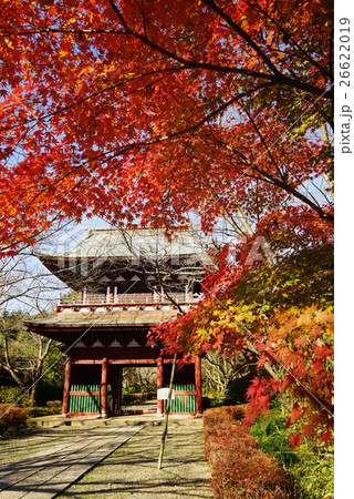 秋の長勝寺　山門 26622019