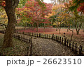 紅葉 26623510