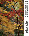紅葉 26623511
