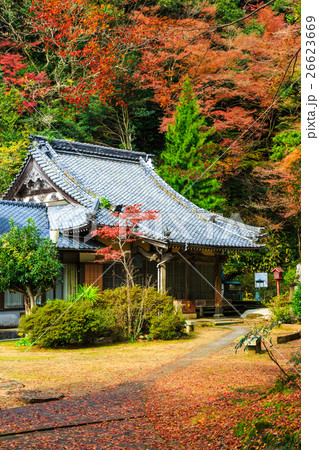 御橋観音の紅葉 御橋観音の紅葉 26623669