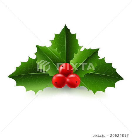 Xmas Holly Berry 26624817