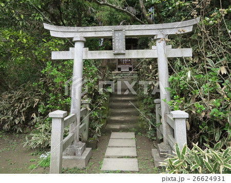 杉本寺　権現堂 26624931