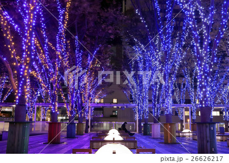 クリスマスのイルミネーション 26626217