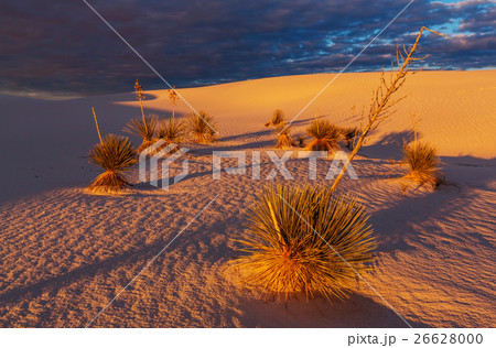 White sands 26628000