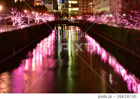 桜色のイルミネーション 桜色のイルミネーション 26628730