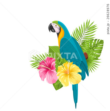 Parrot Ara, Colorful Exotic Flowers Blossom and 26628976