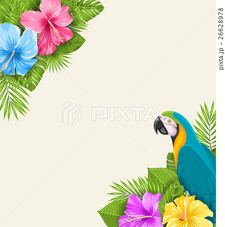 Summer Exotic Background with Parrot Ara, Hibiscus Summer Exotic Background with Parrot Ara, Hibiscus 26628978