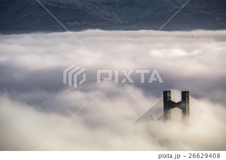 【埼玉】秩父ミューズパークの雲海と秩父公園橋 26629408