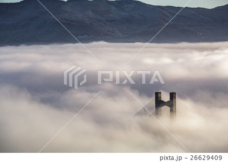 【埼玉】秩父ミューズパークの雲海と秩父公園橋 26629409