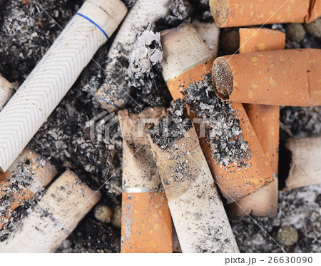 Cigarette butts amid the ashes 26630090