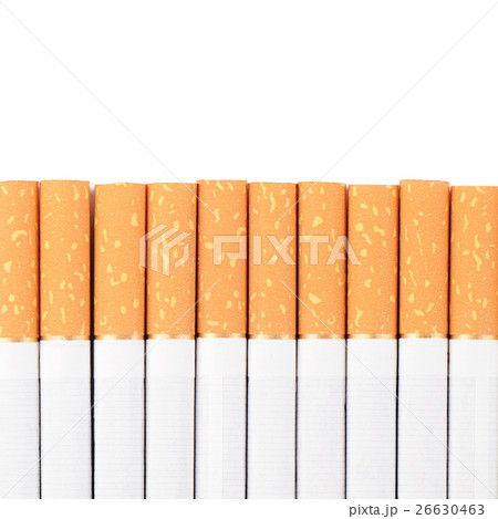 row of cigarettes on white background row of cigarettes on white background 26630463