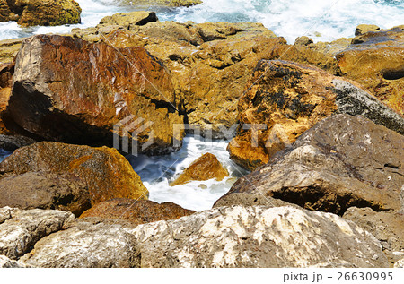Close-up texture of sea stone background 26630995