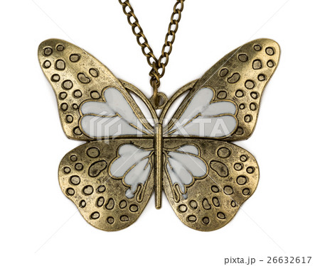 Small butterfly close up Small butterfly close up 26632617