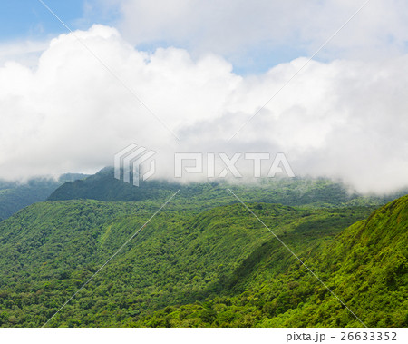 Rainforest landscape in Monteverde Costa Rica Rainforest landscape in Monteverde Costa Rica 26633352