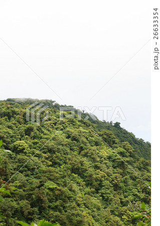Rainforest landscape in Monteverde Costa Rica Rainforest landscape in Monteverde Costa Rica 26633354