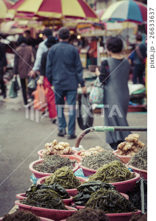 Fresh fish and seafood at Jagalchi Fish market 26633637