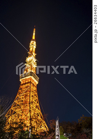 夜の東京タワー 夜の東京タワー 26634403