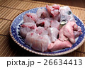 サバフグのてっちり サバフグのてっちり 26634413