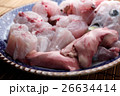 サバフグのてっちり サバフグのてっちり 26634414